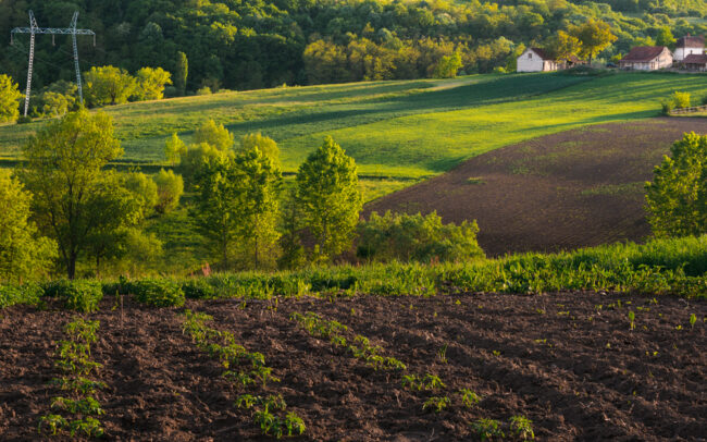 Lacerda Diniz Sena. Lacerda Notícias, últimas Notícias: ITR 2023: Imposto Sobre a Propriedade Territorial Rural