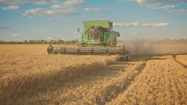 Lacerda Diniz Sena: Lacerda Notícias - Agro em foco, edição 10