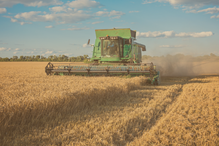 Lacerda Diniz Sena: Lacerda Notícias - Agro em foco, edição 10