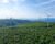 Thumb-Informativo-licenciamento-ambiental