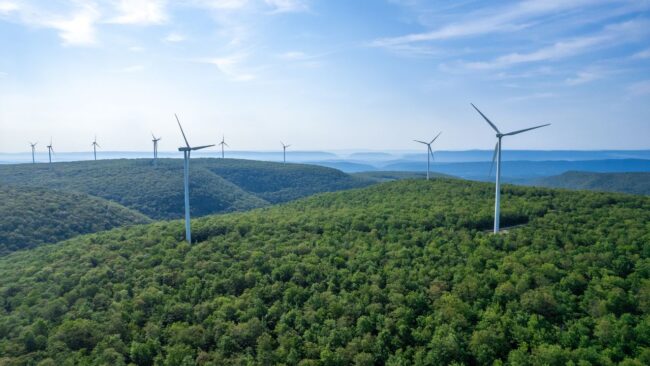 Thumb-Informativo-licenciamento-ambiental