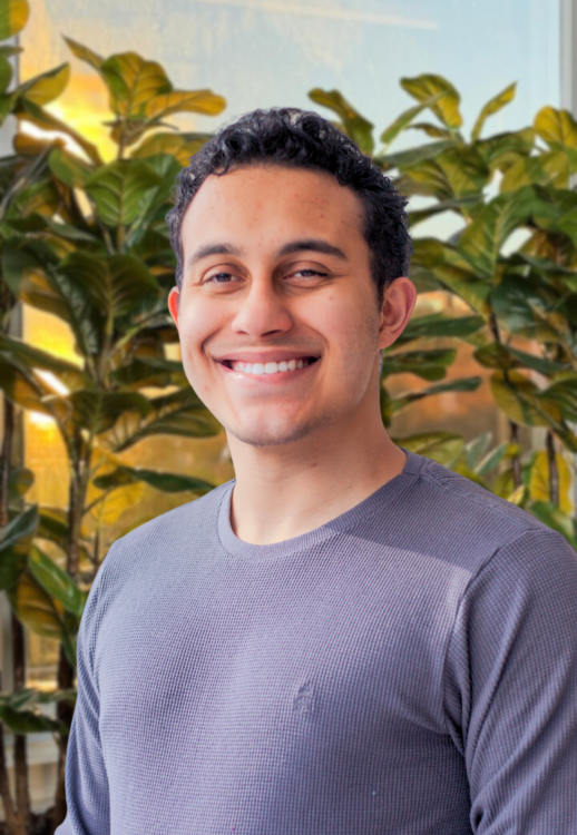 Pedro Araujo